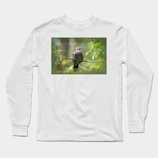 Daydreaming White-winged Dove Long Sleeve T-Shirt